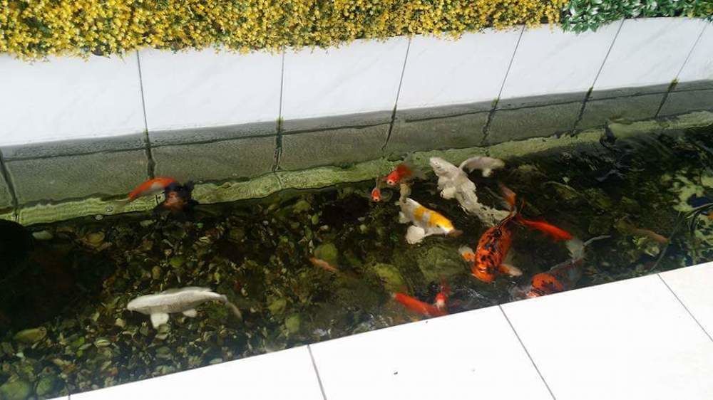 The Garden Inn Miri Bagian luar foto